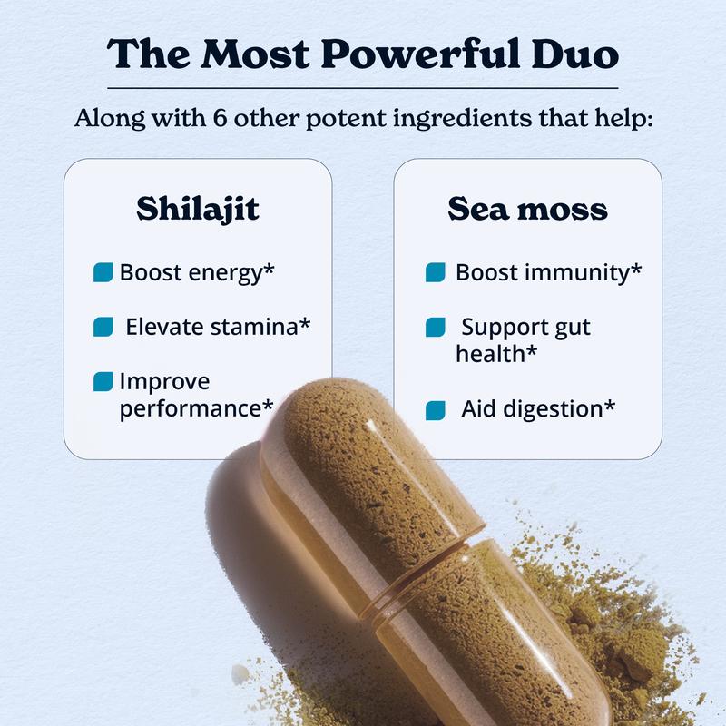 GOLD+ Shilajit Capsules
