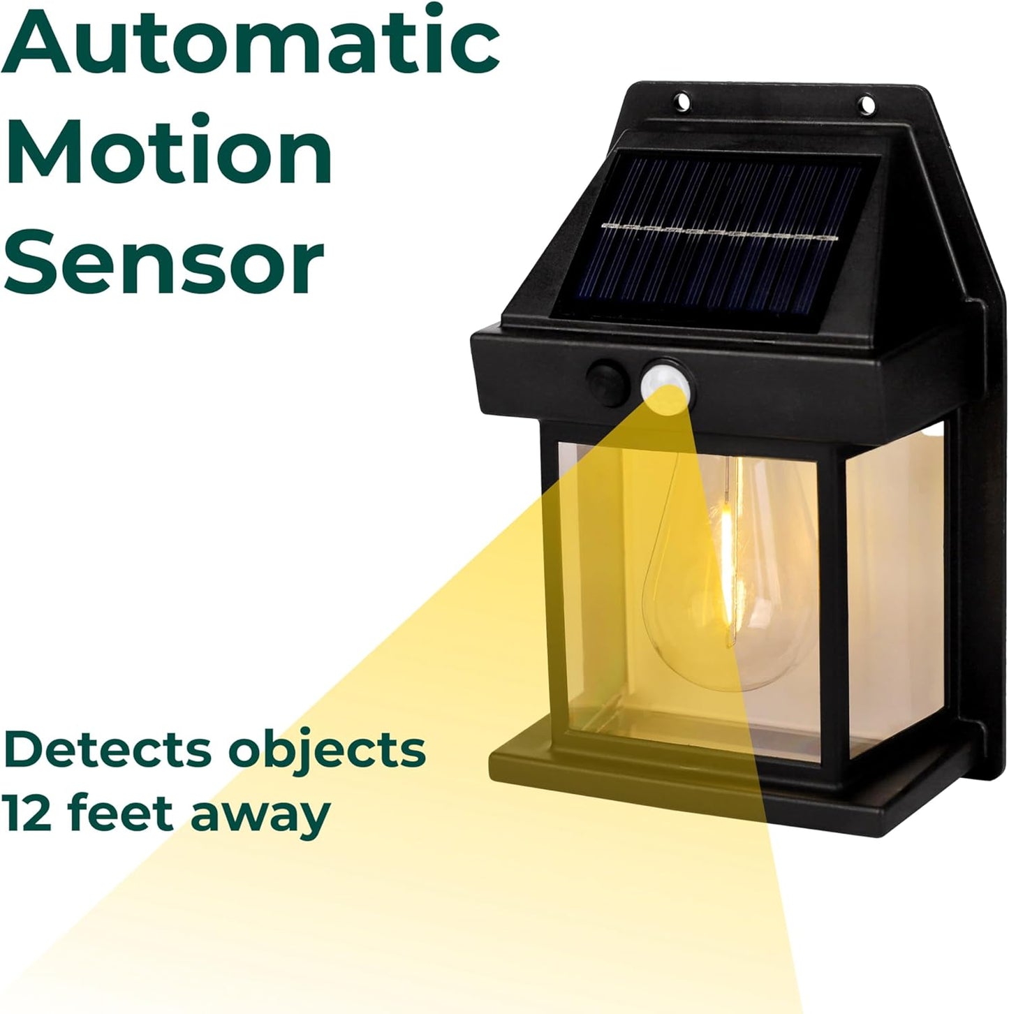 AmberGlow™ LightPro