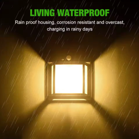 AmberGlow™ LightPro