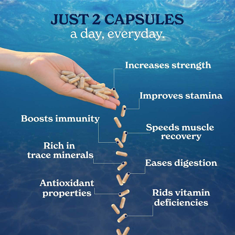 GOLD+ Shilajit Capsules